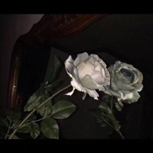 女子被狂揉下部❌羞羞网站
